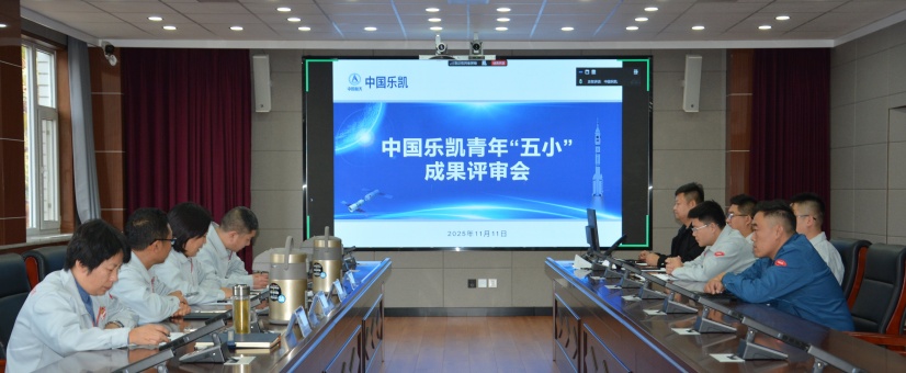 激揚(yáng)青春智造力！中國(guó)樂凱團(tuán)委召開青年&ldquo;五小&rdquo;成果評(píng)審會(huì)